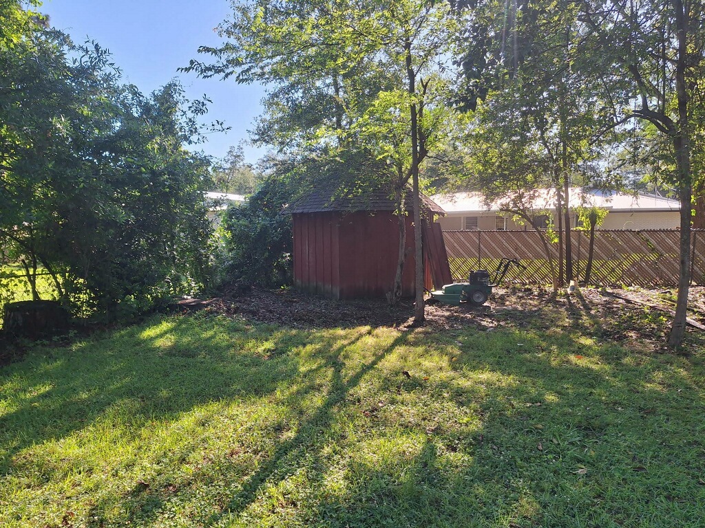 Backyard Brush Clearing — after