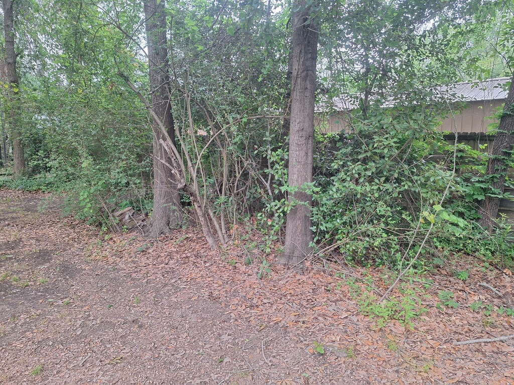 Lot Cleanup & Hauling — before